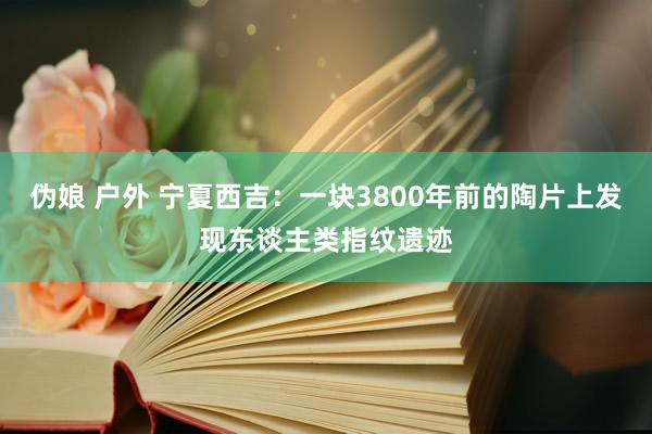 伪娘 户外 宁夏西吉：一块3800年前的陶片上发现东谈主类指纹遗迹